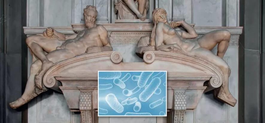 Le Cappelle Medicee e il batterio utile all’arte - Photogallery