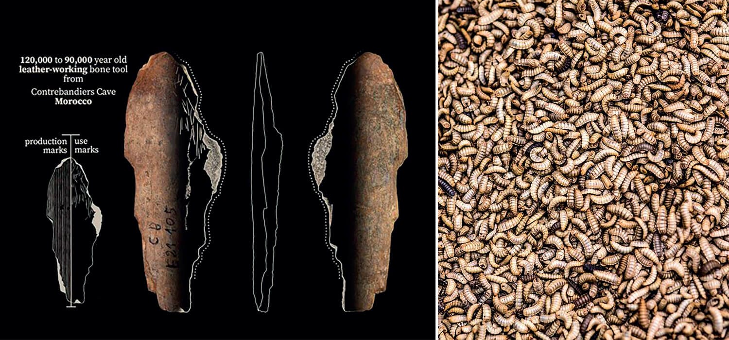 THE CLUB | Notizie dalla notte dei tempi + L'incontenibile dibattito