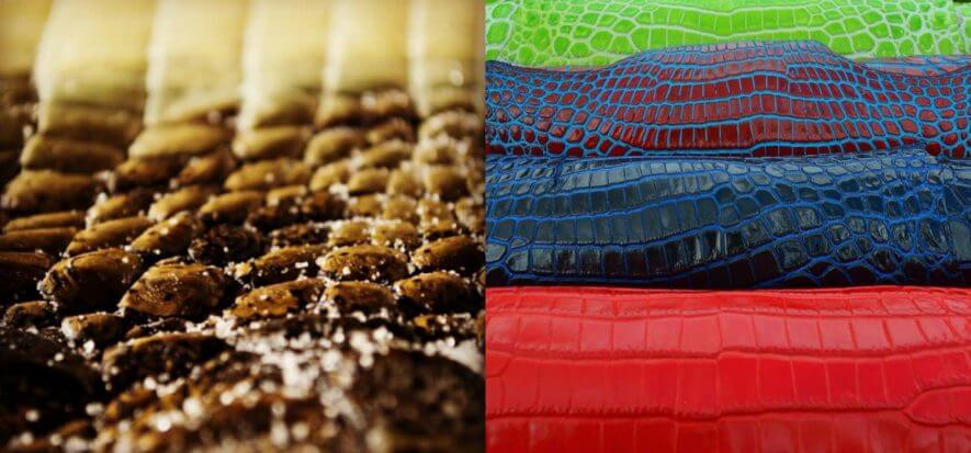 Zambezi Tanners investe e dalle pelli esotiche amplia alle bovine