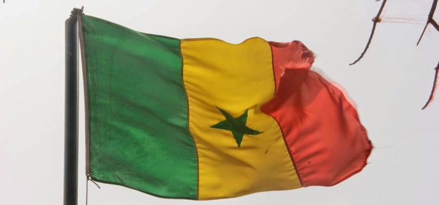 Senegal: “Noi sprechiamo la pelle, all’estero ci creano lavoro”