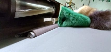 Una mail a La Conceria: “I materiali alternativi non sono green”