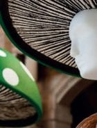 La mistificazione vegana