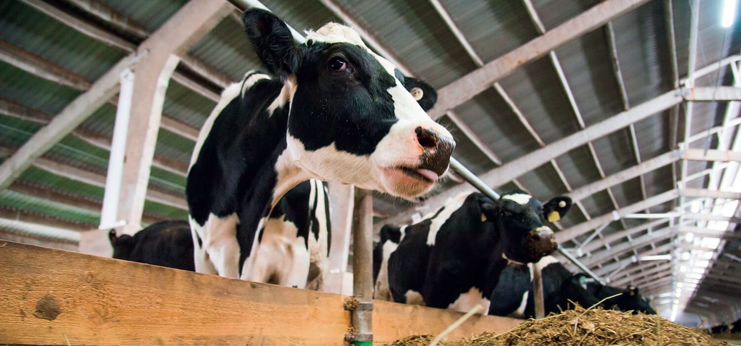 PERISCOPIO | Non è come dicono