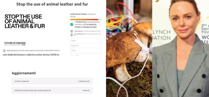 Stella McCartney's anti-leather petition is a flop