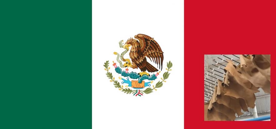 Dopo la scarpa, anche la concia messicana rivede la luce (+57%)