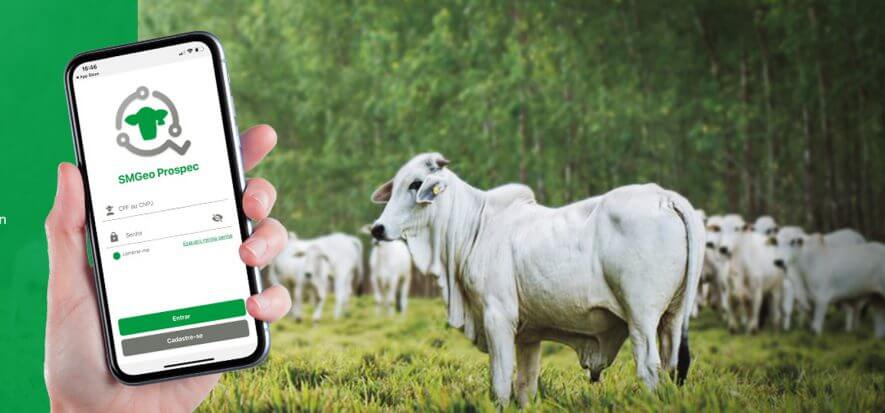 Minerva: tracciamento satellitare per i fornitori in Paraguay