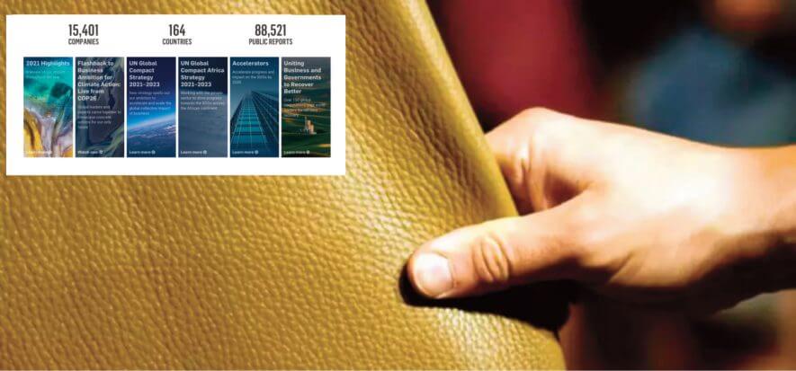 Missione green: UNIC entra nel Global Compact delle Nazioni Unite