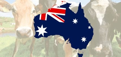 Export in calo, inondazioni: i problemi della filiera australiana