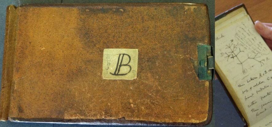 Il mistero dei taccuini in pelle di Darwin, rubato e ritrovato