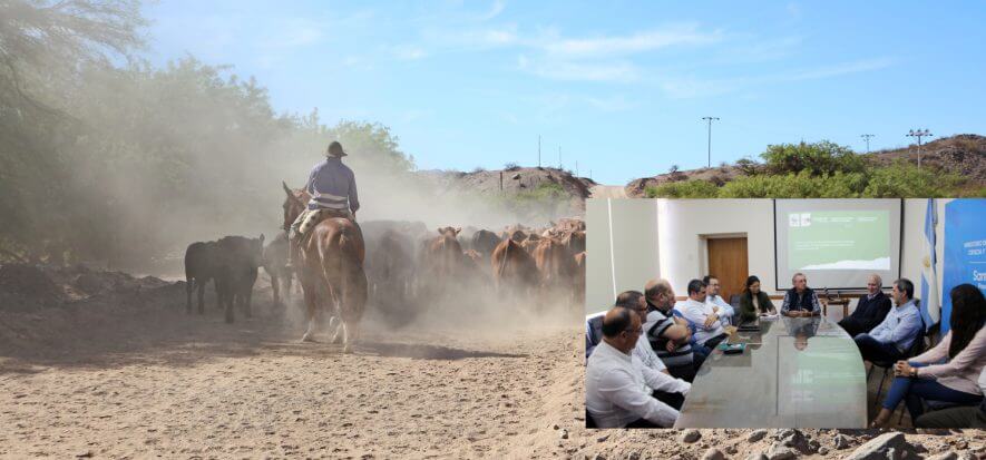 La provincia di Santa Fe traccia con WWF la filiera carne-pelle