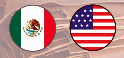La pelle USA esce dalla crisi, scarpa e auto trainano il Messico