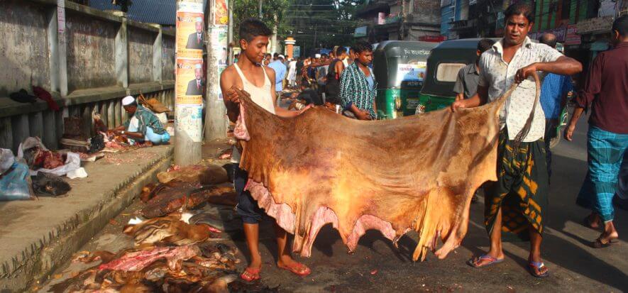 Un bilancio della festa del Sacrificio in Bangladesh e Algeria