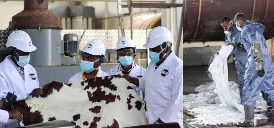 Kenya, Ewaso Ngiro Tannery all’89% della capacità produttiva