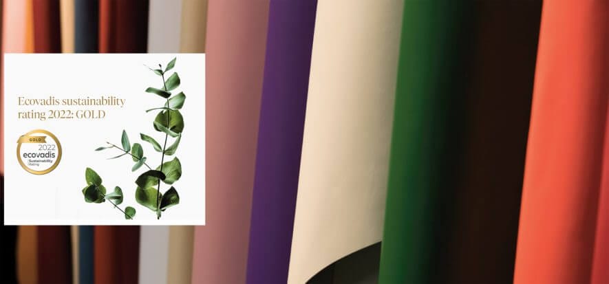 70 su 100: medaglia d’oro per Dani nel rating di Ecovadis