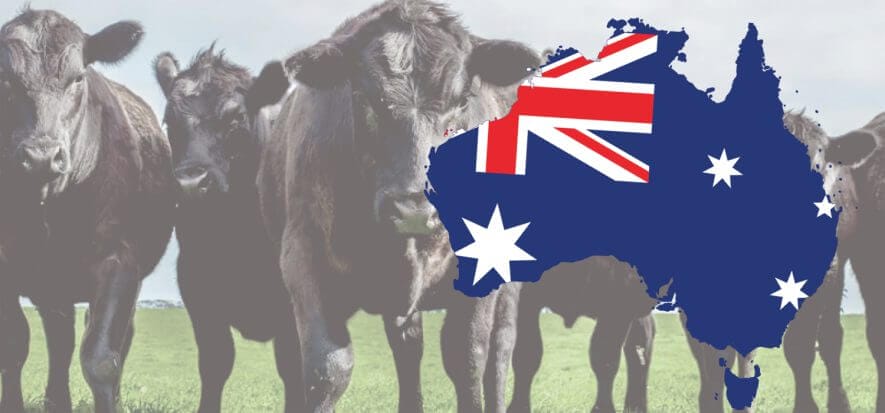 Il 2022 turbolento (e con boom ovicaprino) della carne australiana