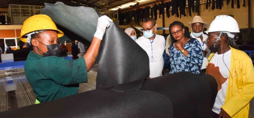 Uganda: the national tannery is working, but there is no raw materia