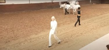 Stella McCartney parades horses  and proves herself an inconsistent vegan
