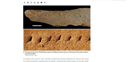 The discovery: this is how Homo Sapiens worked leather 39,600 years ago