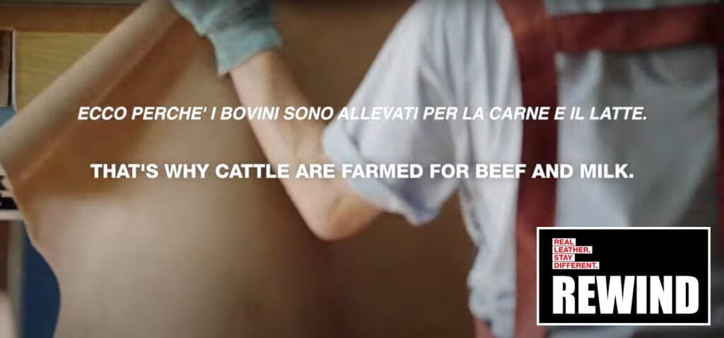 Rewind: the truth about leather sustainability in four videos