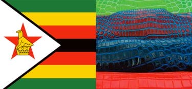 Zimbabwe, niente fondi senza export: il cortocircuito è servito