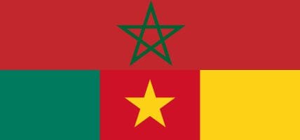 Marocco e Camerun vogliono fare asse sul mercato della pelle