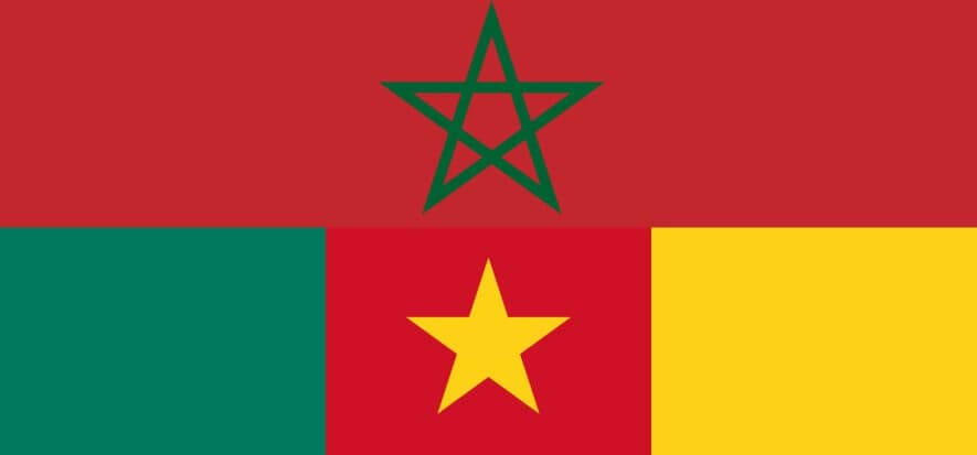 Marocco e Camerun vogliono fare asse sul mercato della pelle