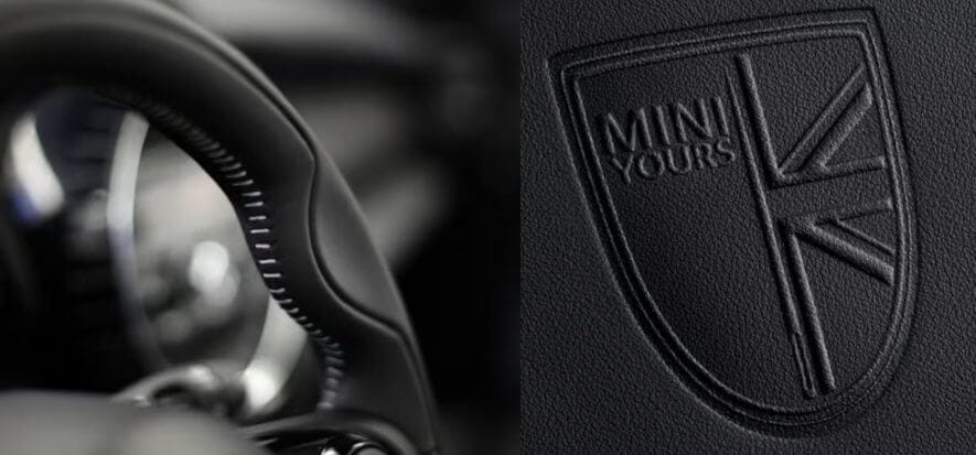 Il dubbio è legittimo: il veganismo di Mini è solo di facciata?