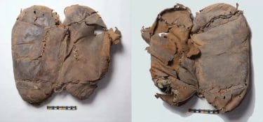 Leather wonder: the world's oldest saddle from China