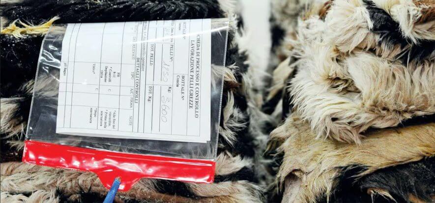 Tanning and the supply chain: strategies and new horizons for ICEC