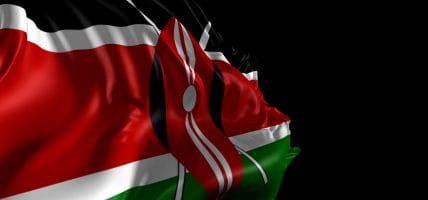 Closures and controversy: troubled waters for Kenyan tanning