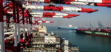 Cina, Il porto di Tientsin blocca le pelli da Spagna e Germania