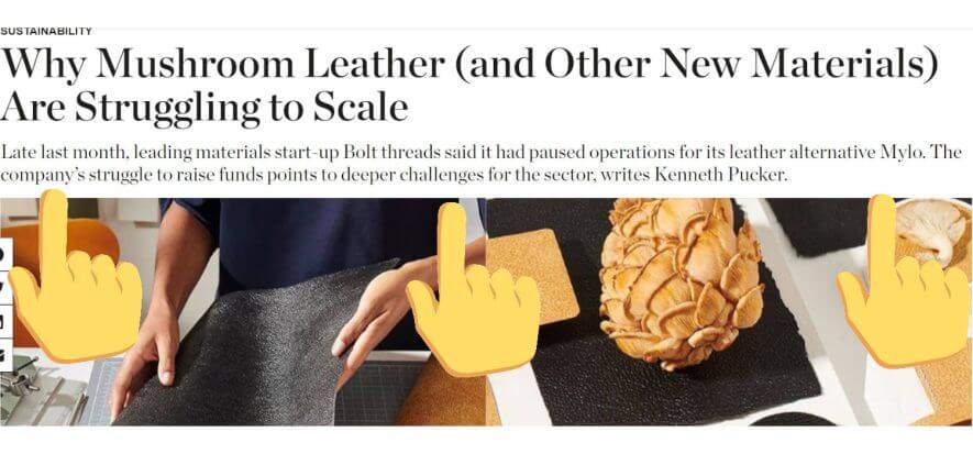 “I materiali veg si schiantano contro l’insostenibilità economica”