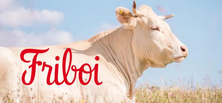 Gli investimenti di Friboi (JBS) in Mato Grosso e in tracciabilità