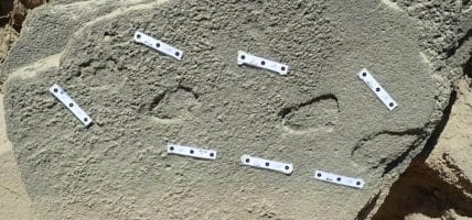 Impronte di 100.000 anni fa ci riportano all’origine delle scarpe
