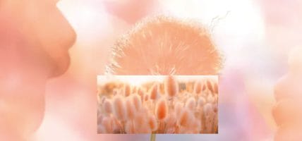 Are you ready for Peach Fuzz? For Pantone it is the colour of 2024