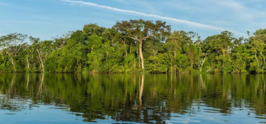 Brazil, JBS invests 9 million for traceability in the Parà region