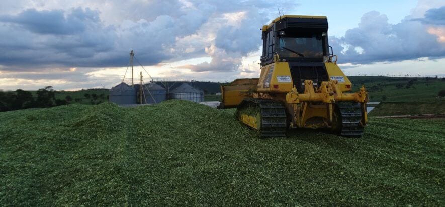 Brasile, JBS Couros traccia 8.000 fornitori (e punta a 12.000)