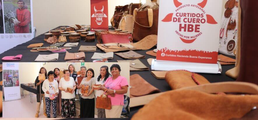 Cile, l’inserimento professionale “rosa” attraverso la pelle