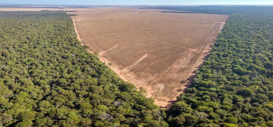 A Lineapelle 103 si parlerà di deforestazione e tracciabilità