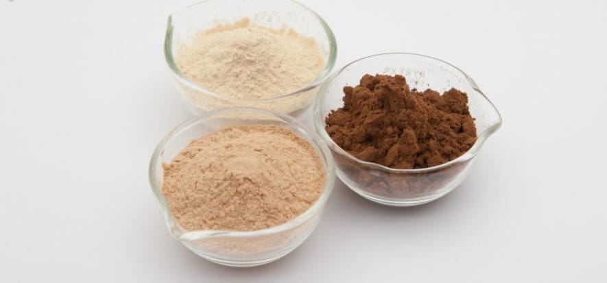 Chimica, Silvateam ha acquisito la tedesca Wet-Green (Olivenleder)
