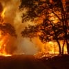 A large fire has brought Texas ranches to their knees