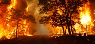 A large fire has brought Texas ranches to their knees