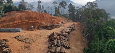 UNIC e i sindacati: è allarme per il Regolamento deforestazione UE