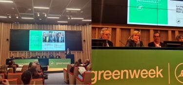 Greenweek, UNIC explains the active efforts of the tanning segment
