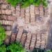 Deforestazione UE: si traccerà il lotto, non la singola pelle