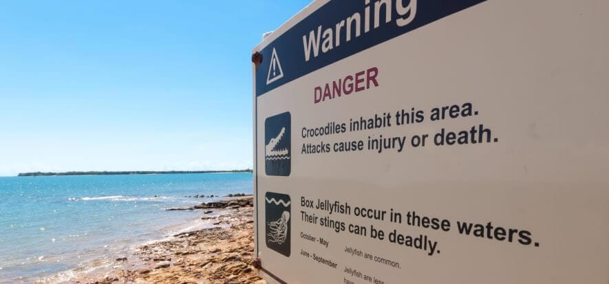 Australia: crocodile conservation works well