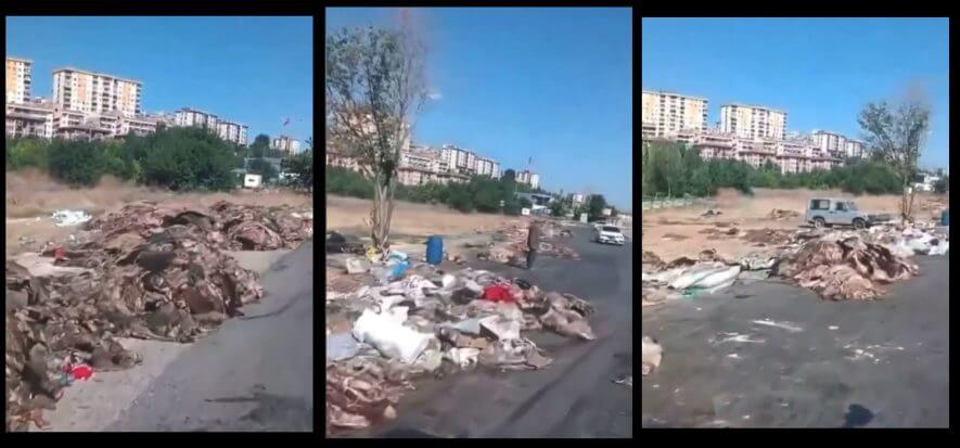 Immagini da far vedere a quelli che sognano un mondo senza concia