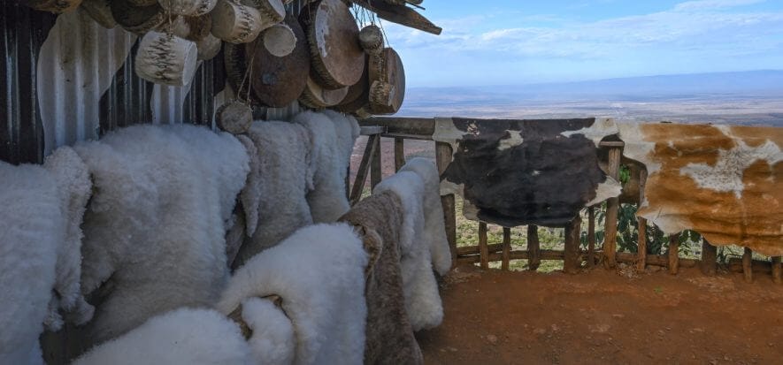 Kenya, i magnificenti progetti per la filiera della pelle