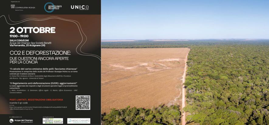 Riflettori su EUDR ed emissioni: se ne parla domani ad Arzignano