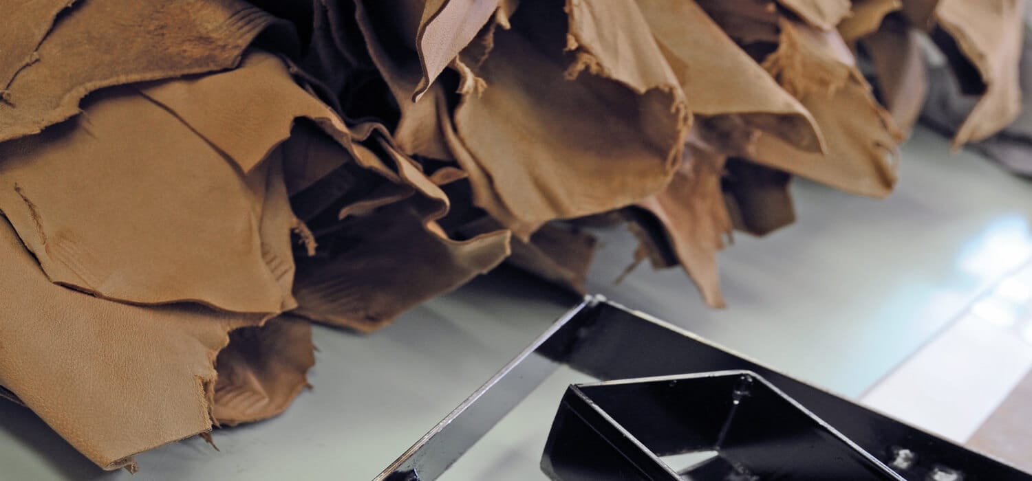 CHI NON SI EVOLVE È PERDUTO